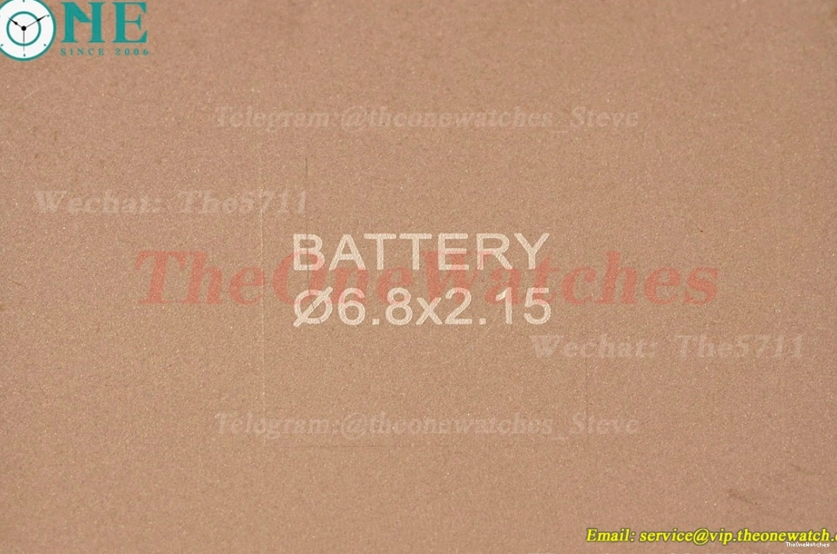 Dial Santos Quartz AF Blue LE Silver RG Dumont 0301